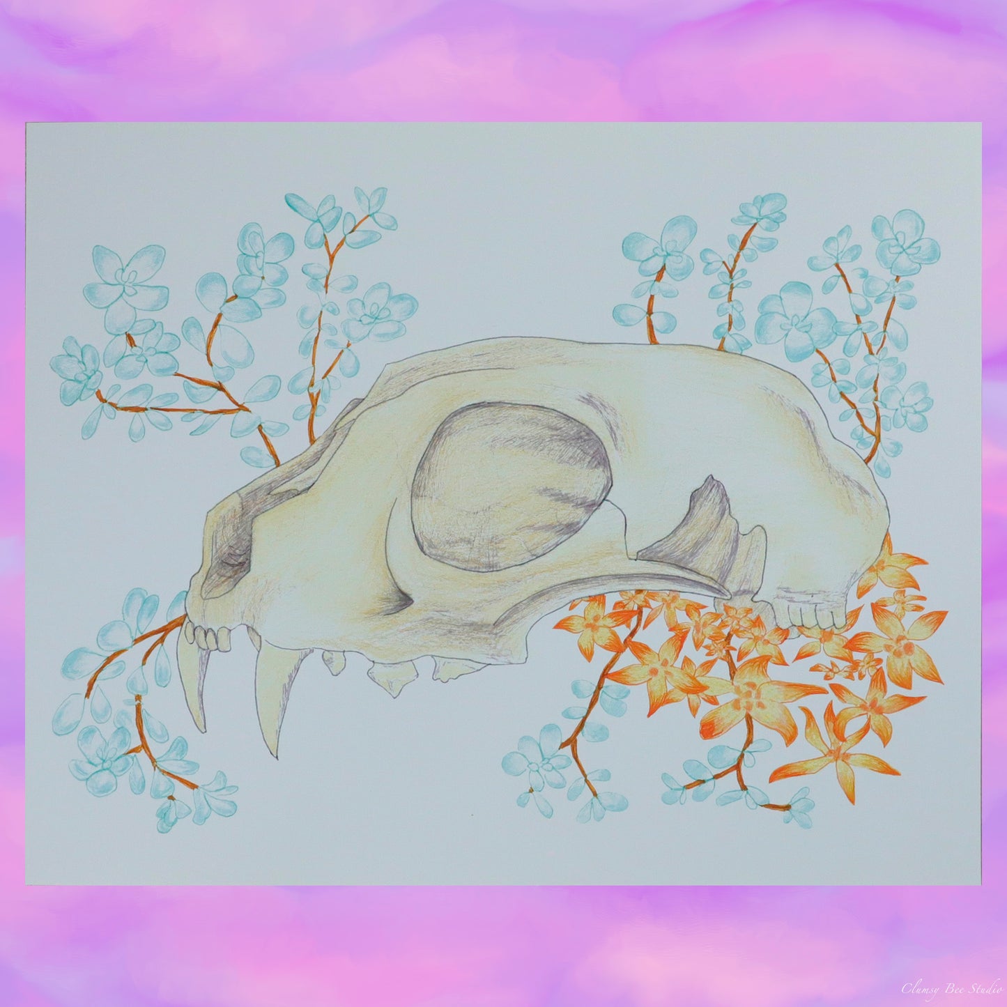 "Coyote Skull" is a fine art print with a coyote skull and succulents symbolizing the cycle of life